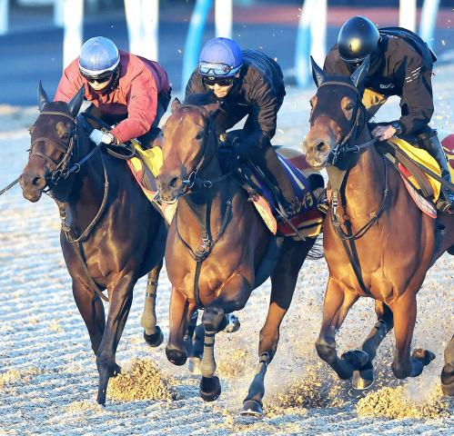 【有馬記念】巻き返しが狙えるのは陣営の手応え十分な2頭　前走からの上昇度と乗り手の感触に注目