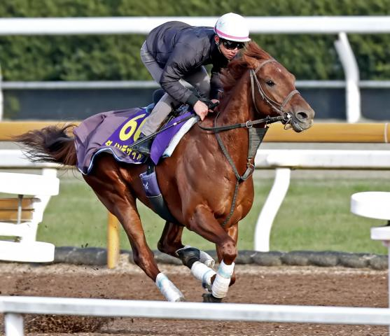 【有馬記念】オルフェーヴル以来13年ぶり快挙へダービー馬が名手・横山典弘騎手の手綱で再び輝く