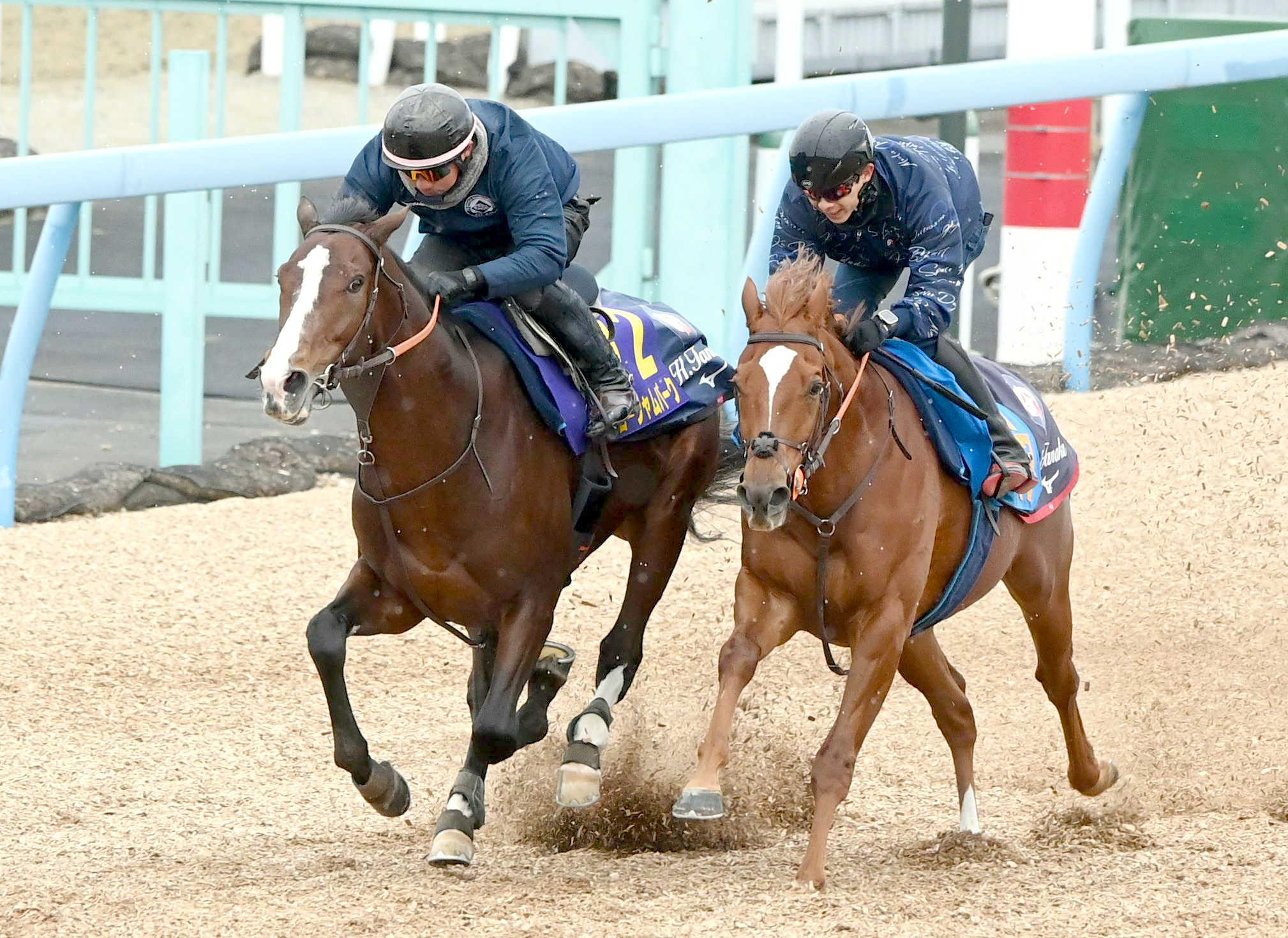 【有馬記念】ローシャムパーク　キレてる　アメリカ遠征疲労なし！ラスト１Ｆ１１秒４　５戦３勝の中山でＧ１初制覇だ