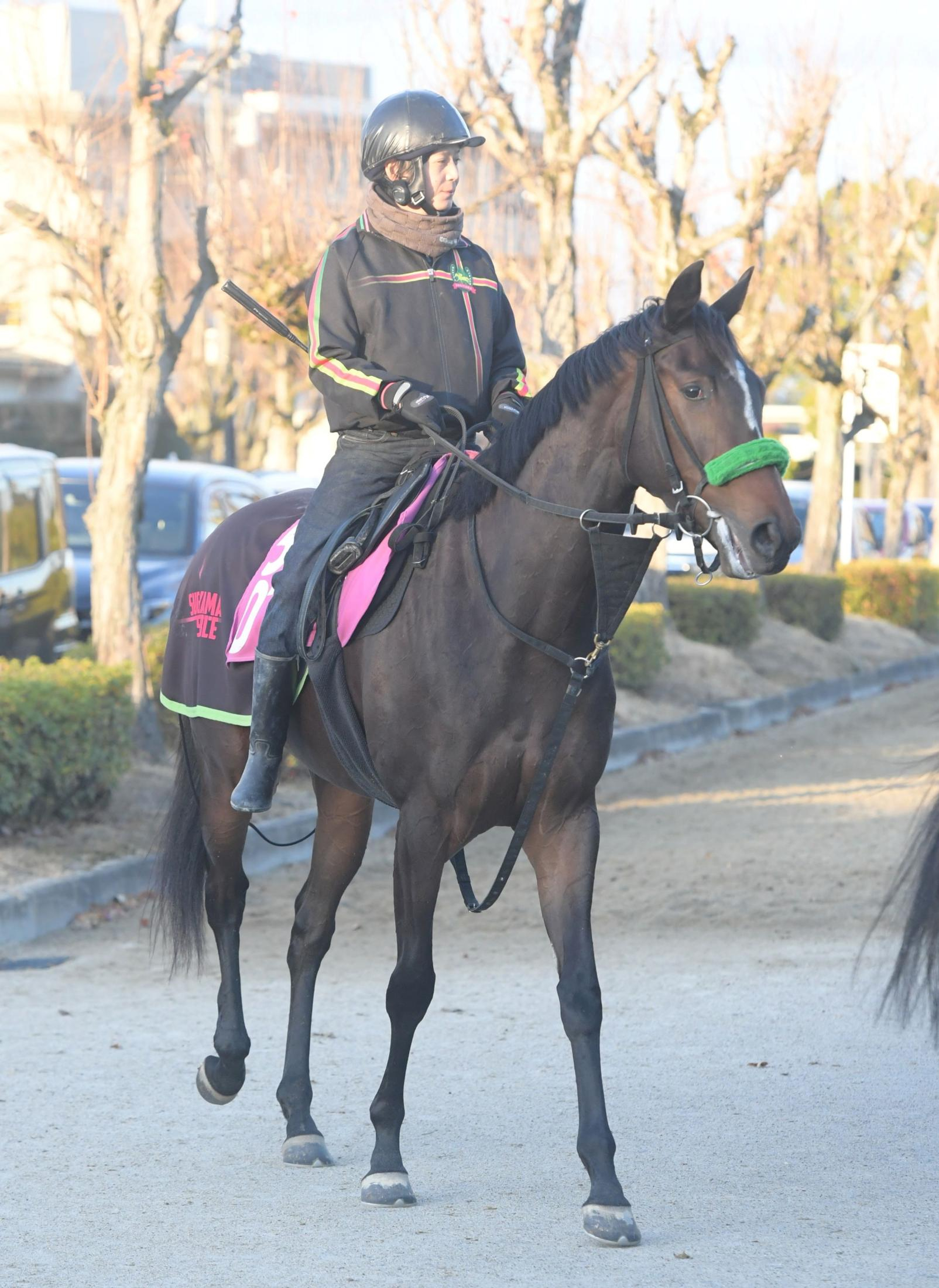 【新馬戦】デアリングエア　偉大な姉の背中追う　無敗の３冠牝馬デアリングタクトに「結構似ている」