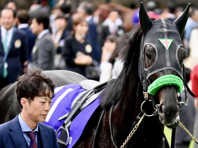 有馬記念の馬券圏内率は約7割!? 過去10年のローテから導く“堅軸候補”とは