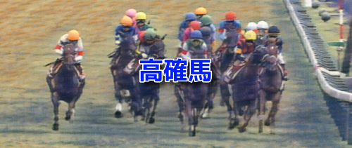 12月21日[高確馬](京都3R,京都6R他)