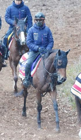 【有馬記念】(8)レガレイラ　重量差を生かす、木村師「太刀打ちできるレースだと思っている」