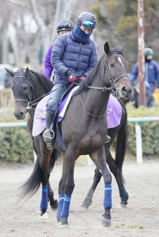 【有馬記念】(7)スターズオンアース　一枚絞れた感じ、高柳瑞師「シルエットがいい」