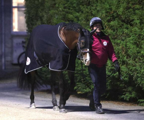 【有馬記念】(10)プログノーシス　距離延長が鍵に、陣営「スタートを出られるかが大事」