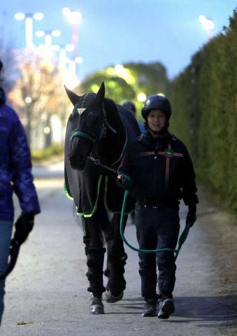 【有馬記念】(11)ジャスティンパレス　秋3戦目も充実、杉山晴師「状態に関してはいい」