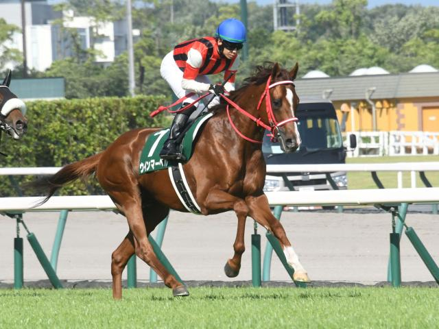 【今日の注目ポイント】中山大障害と京都で阪神C