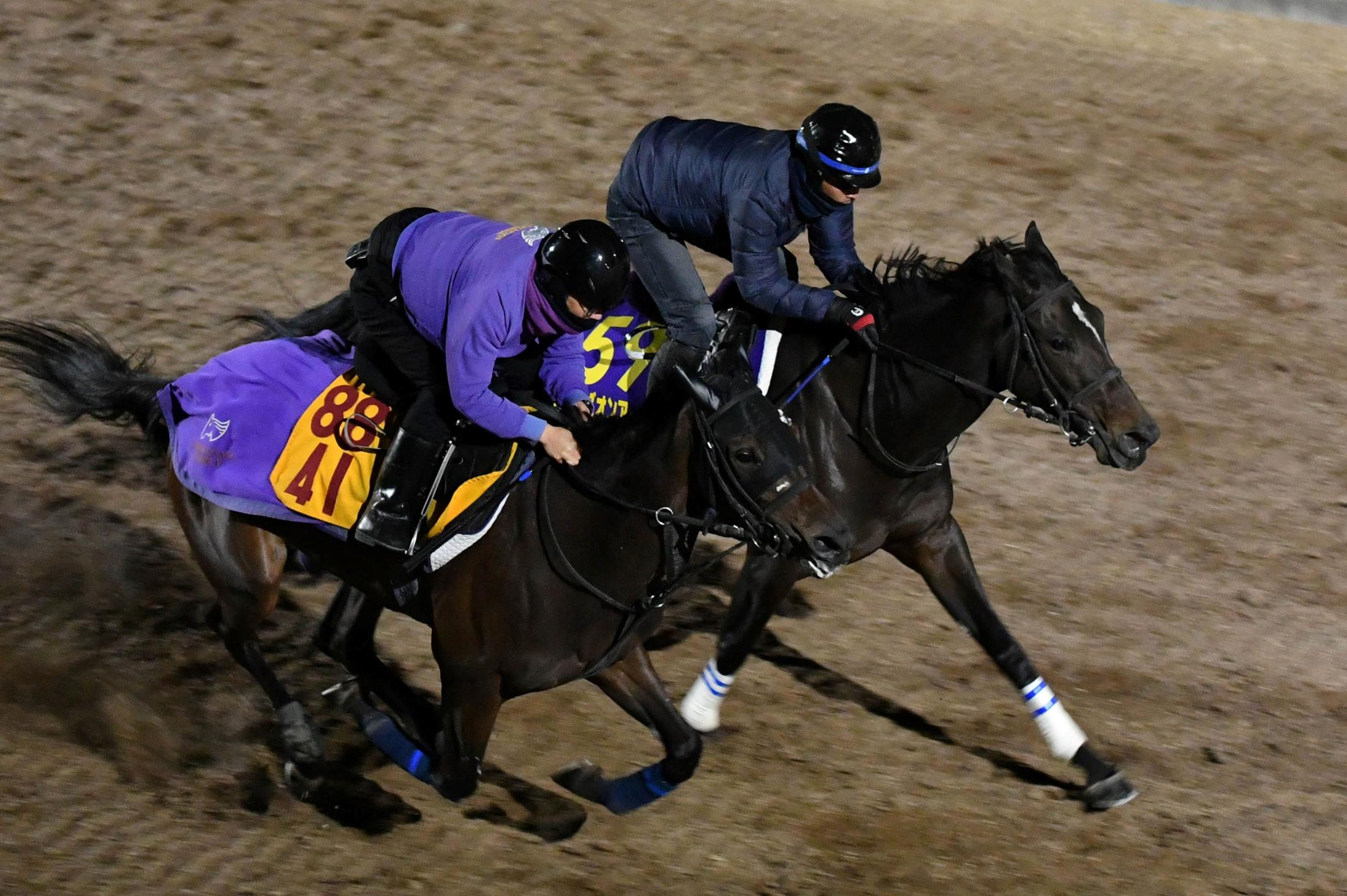 【有馬記念】スターズオンアース　歩様がいい　高柳瑞師「体重も前回より絞れてくる」