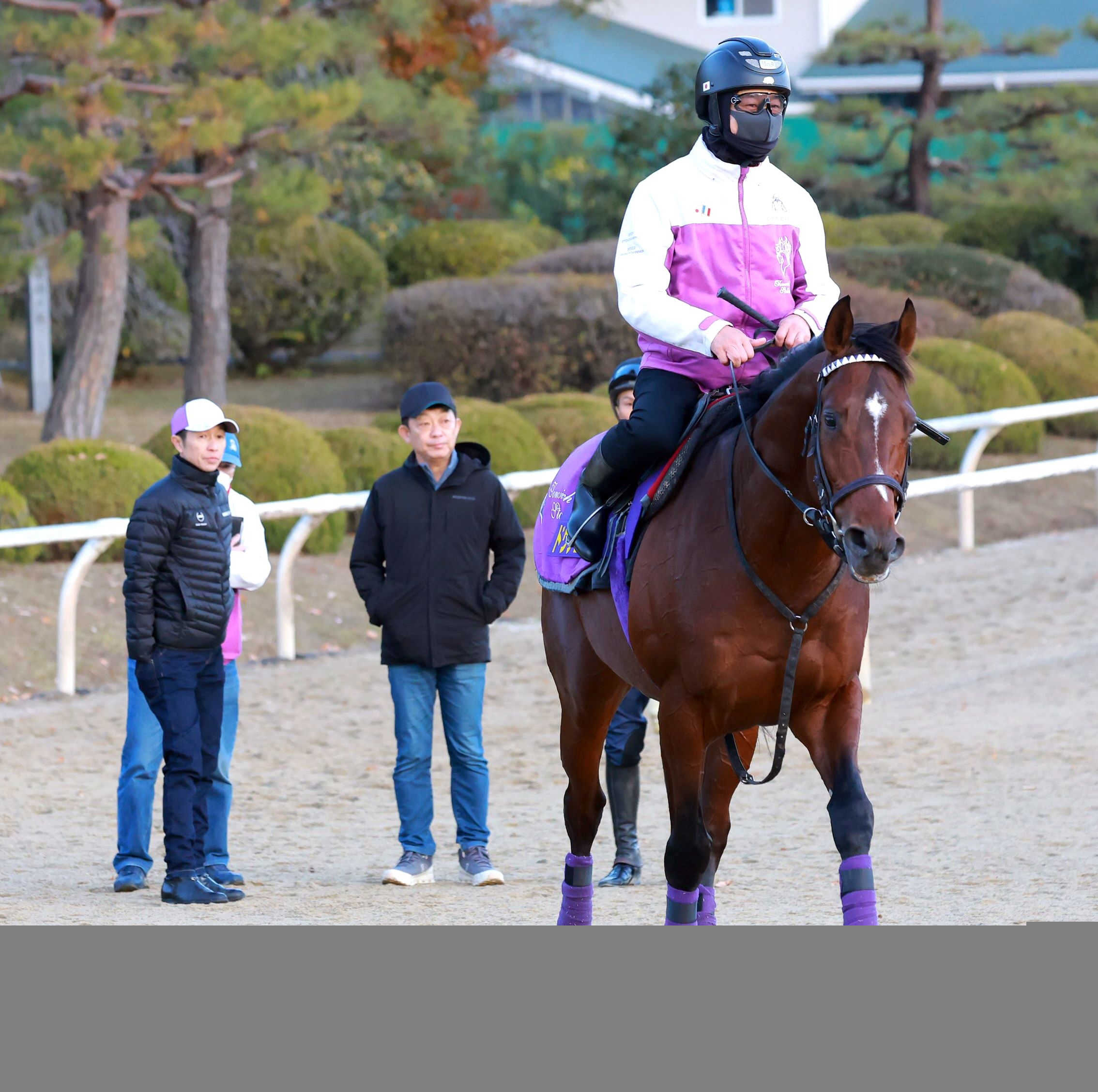 【有馬記念】ドウデュース右前肢ハ行で出走取消　引退式も中止　このまま種牡馬入り　友道師「最後の最後にドウデュースらしい」