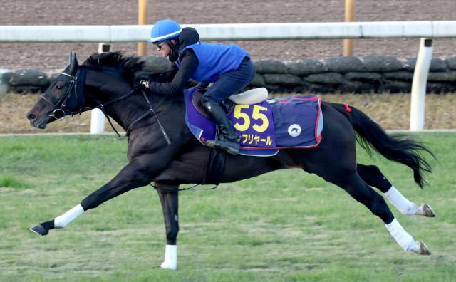 【有馬記念】ドウデュースの取り消しで一気に大混戦に　ダービー2勝の名トレーナーが大外枠から堂々の「逃げ宣言」