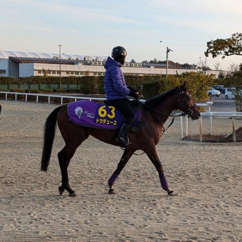 電撃引退ドウデュース　武豊騎手が断言していた「絶対、種牡馬として成功する」産駒へ夢託す