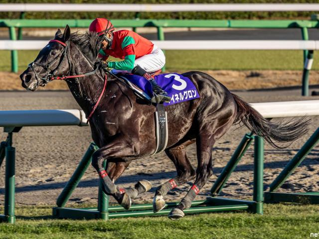 【中山大障害予想】下半期の障害王者決定戦 飛越センスやスタミナなどジャンパーとしての総合力を問う