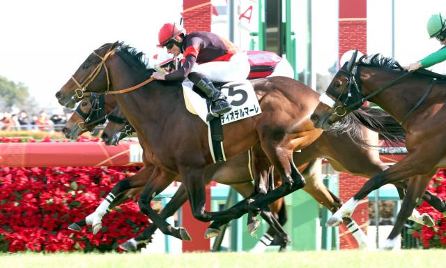 【中山6R・2歳新馬】ディオデルマーレがゴール前で差し切りV　有馬記念デーはムーア騎手がここまで4戦3勝