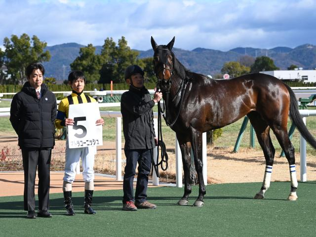 【メイクデビュー京都6Rレース後コメント】マトラコーニッシュ北村友一騎手ら