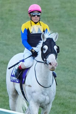 【有馬記念】白毛ハヤヤッコ15着　吉田豊「今日は外枠がよくなかった」