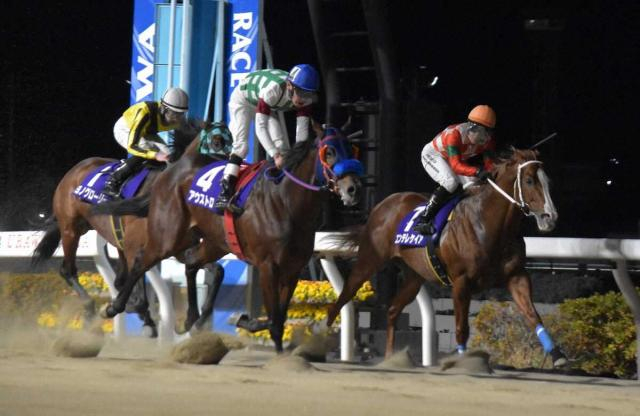 【浦和競馬　スポニチ杯ゴールドC】アウストロ重賞初制覇　秋元耕成は22年ぶり、益田以来の重賞V