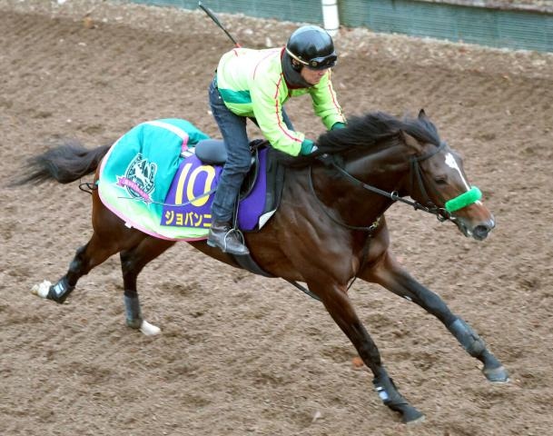 【ホープフルS】京都2歳S2着ジョバンニが坂路を軽快　杉山晴調教師「引けは取らない」