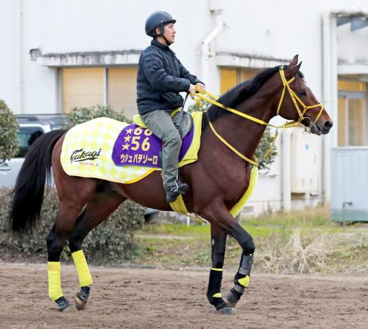 【東京大賞典】3連覇狙うウシュバテソーロはウィルソンテソーロと豪華な併せ馬で併入