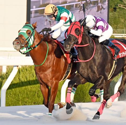 【兵庫ゴールドT】逃げたエートラックスは3着　上位2頭から5馬身差　鮫島克駿騎手「最後は止まって…」