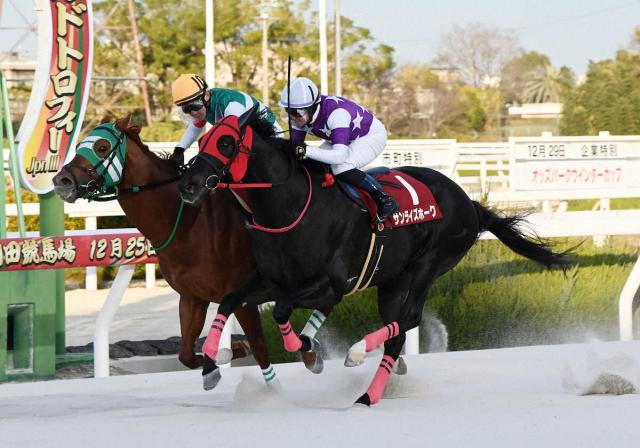 【園田競馬11R　兵庫ゴールドトロフィー】川崎のフォーヴィスム　叩き合い制し地方所属馬初の戴冠