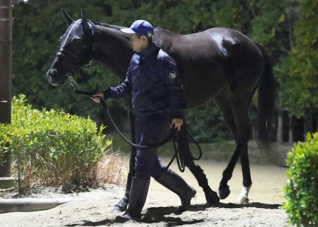 【ホープフルS】クロワデュノール持久力で押し切る!陣営「いい枠に入った」