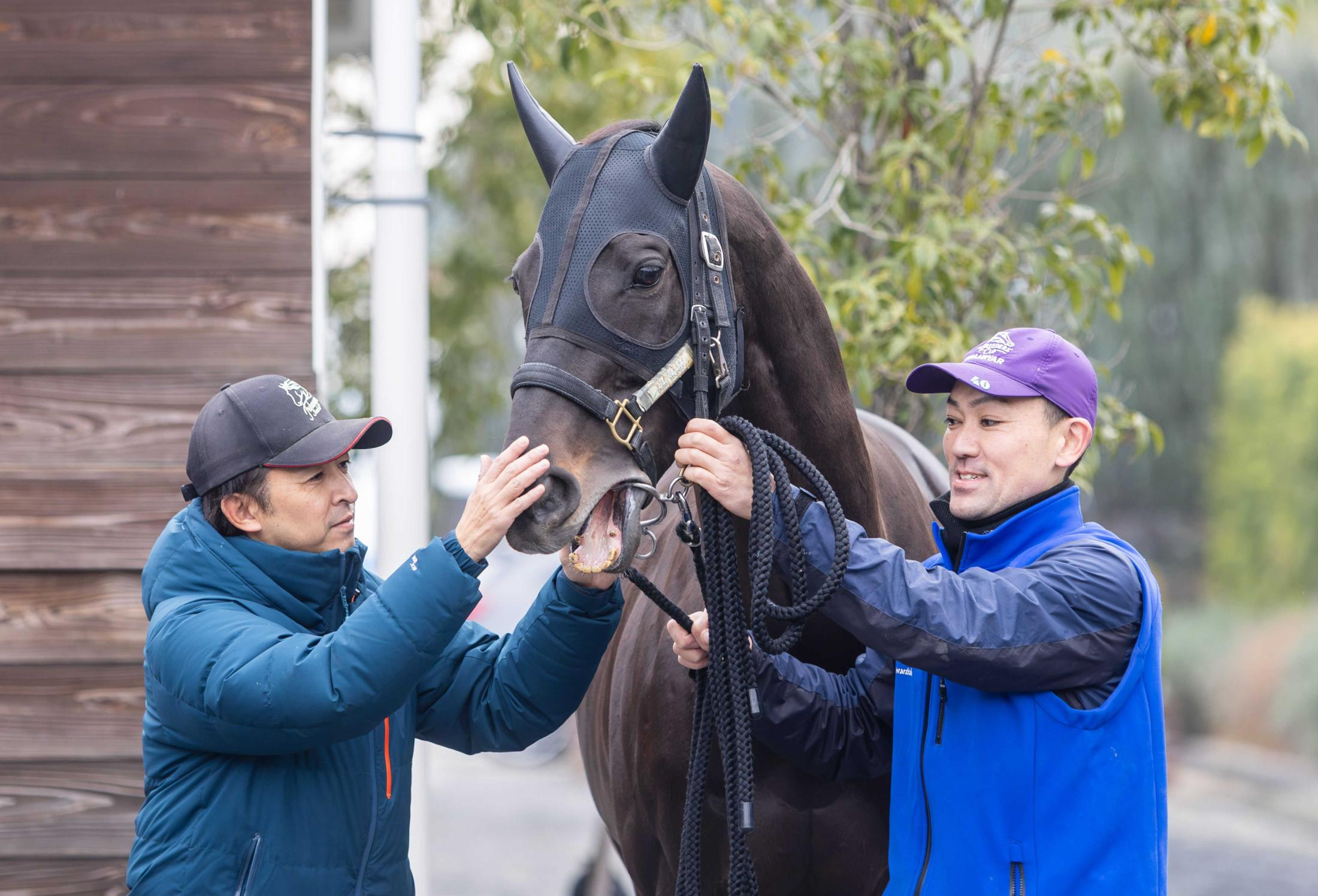 シャフリヤール退厩　藤原師「きっといい子を出す」