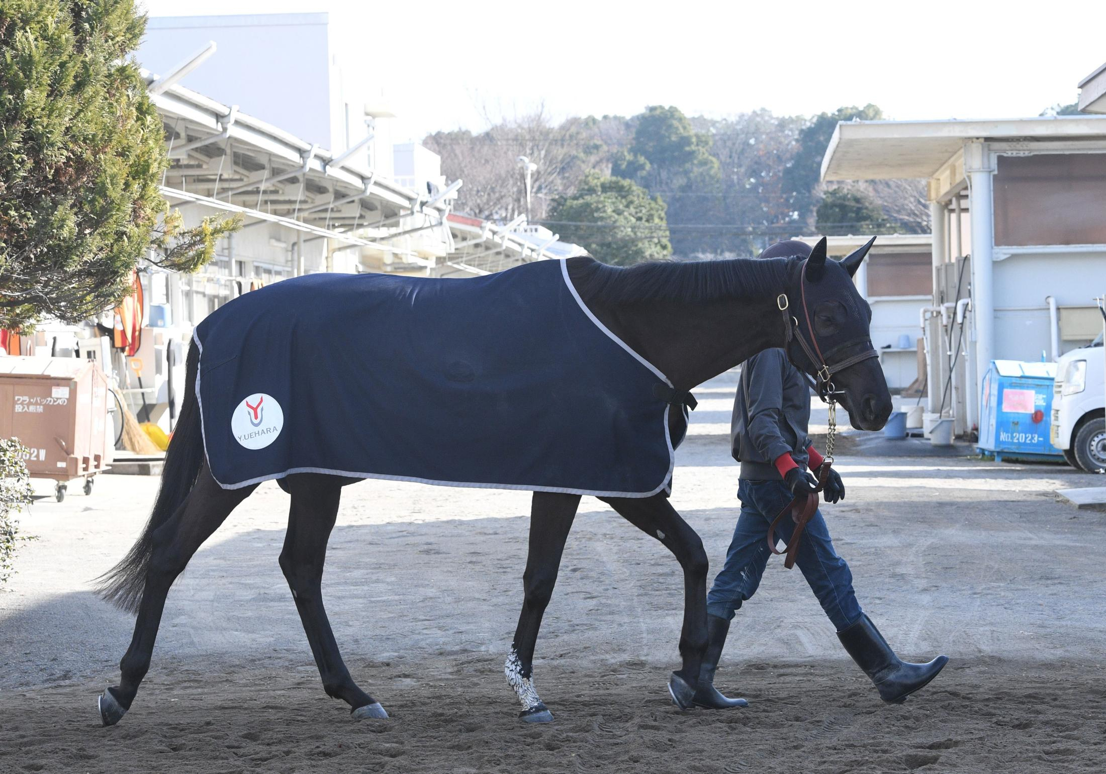 【新馬戦】良血馬オールニッポンに上原佑師も好感触「追い切るごとに動きは良くなってきた」