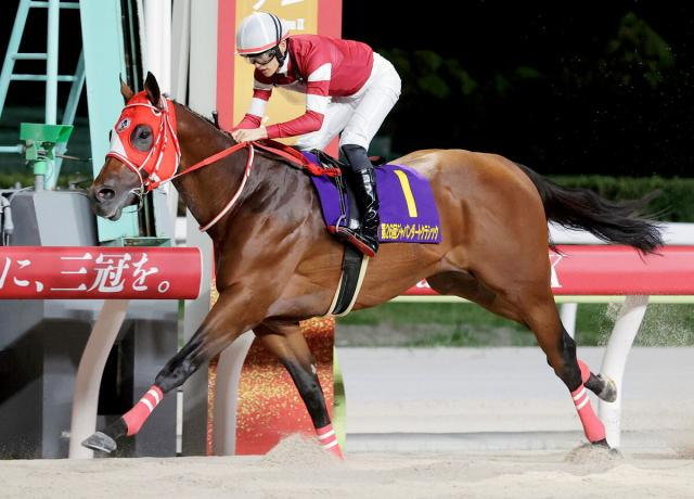 【大井競馬・東京大賞典(GI)】フォーエバーヤング国内敵なし!あす大井競馬場で15時40分発走