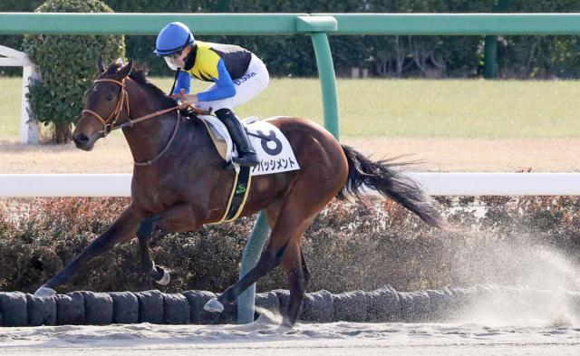 【中山1R・2歳未勝利】堀調教師がJRA通算800勝を達成　1番人気のアパッシメントが勝利