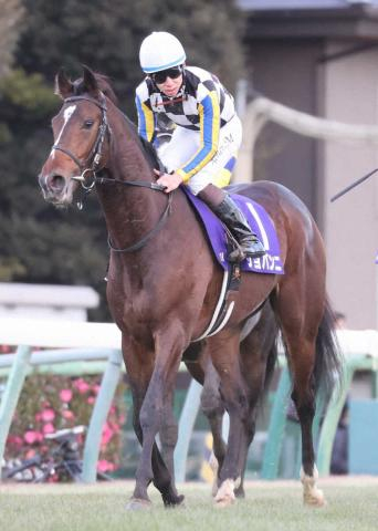 【ホープフルS】ジョバンニが2着　杉山晴師「来年のクラシックが楽しみになる内容」