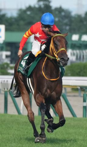 【中山金杯　展望】混戦模様もシンリョクカ主役　重賞2勝目のチャンス到来