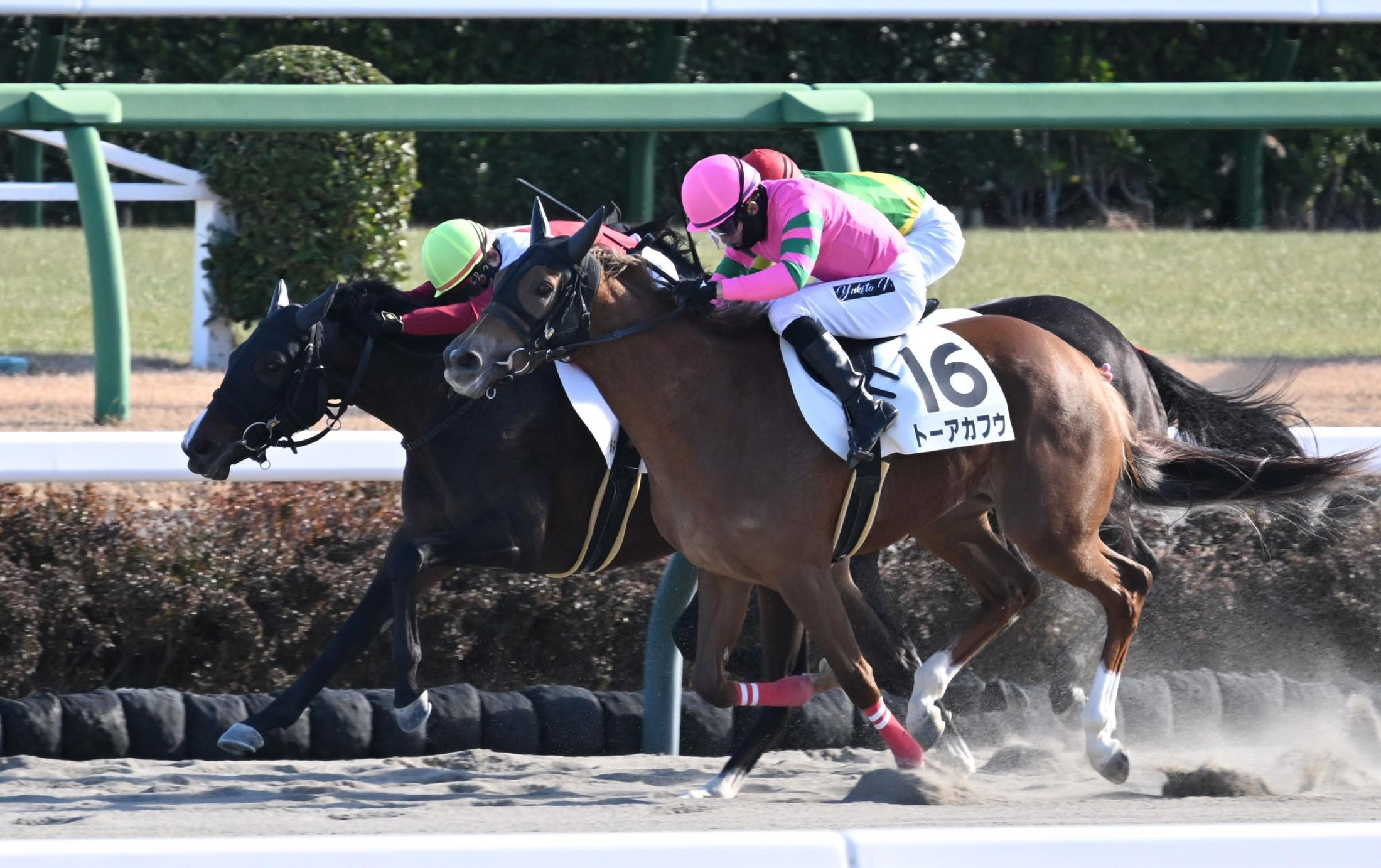 【新馬戦】ドルンレースツェン　低評価覆す鋭伸Ｖ　池添「よくしのいでくれた」