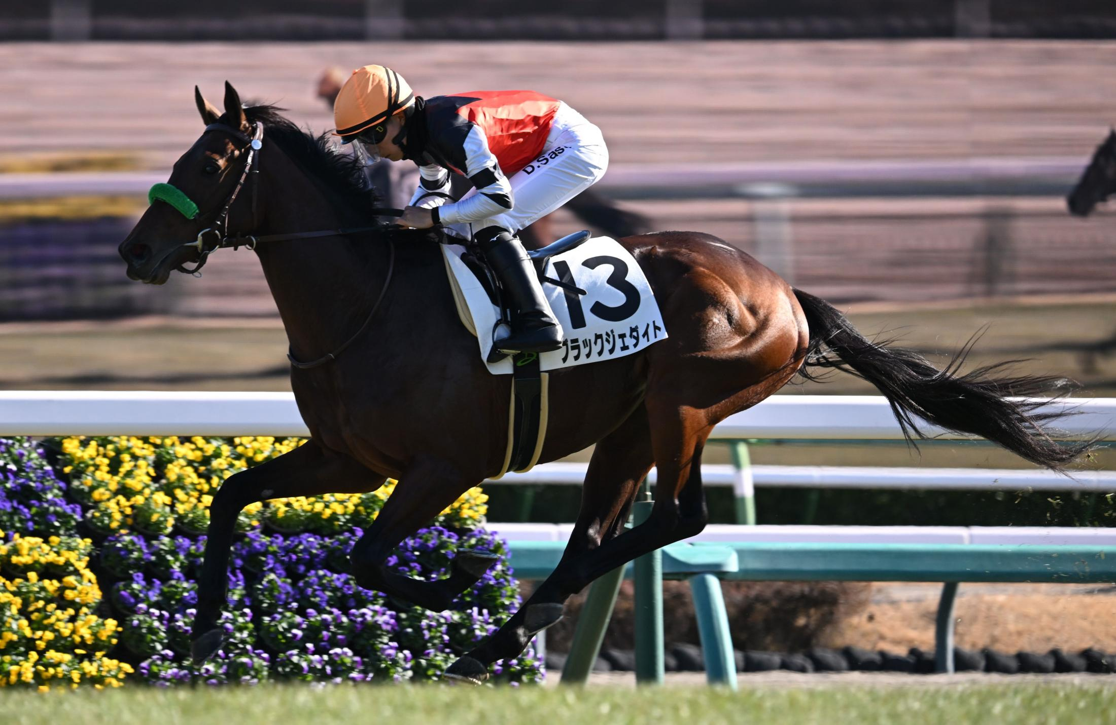 【新馬戦】ブラックジェダイト　１番人気に応え快勝　佐々木も称賛「いい能力がある」