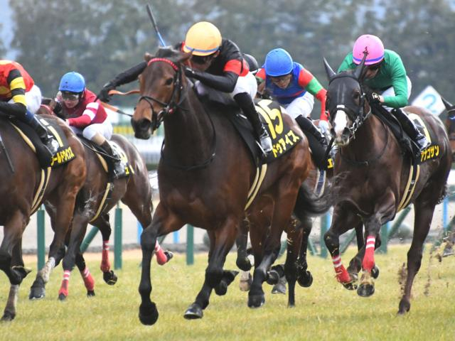 【京都金杯想定騎手】ドゥアイズは武豊騎手、シャドウフューリーは川田将雅騎手