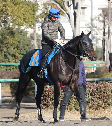 【京都金杯】前走15番人気で3連単192万円超の立役者ゴールデンシロップ　新年も大駆け狙う