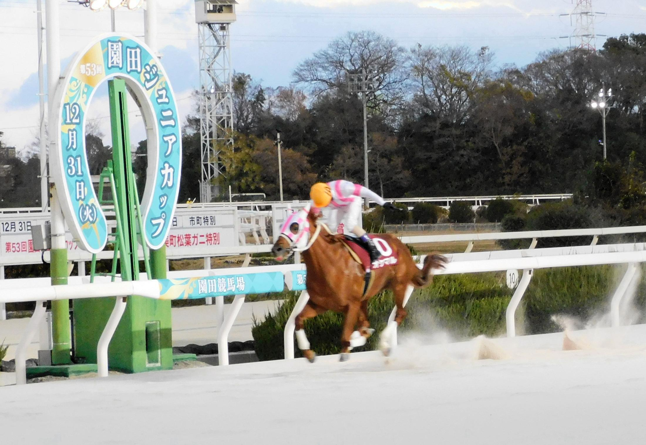 【地方競馬】オケマルが無傷の４連勝で２歳王者に輝く