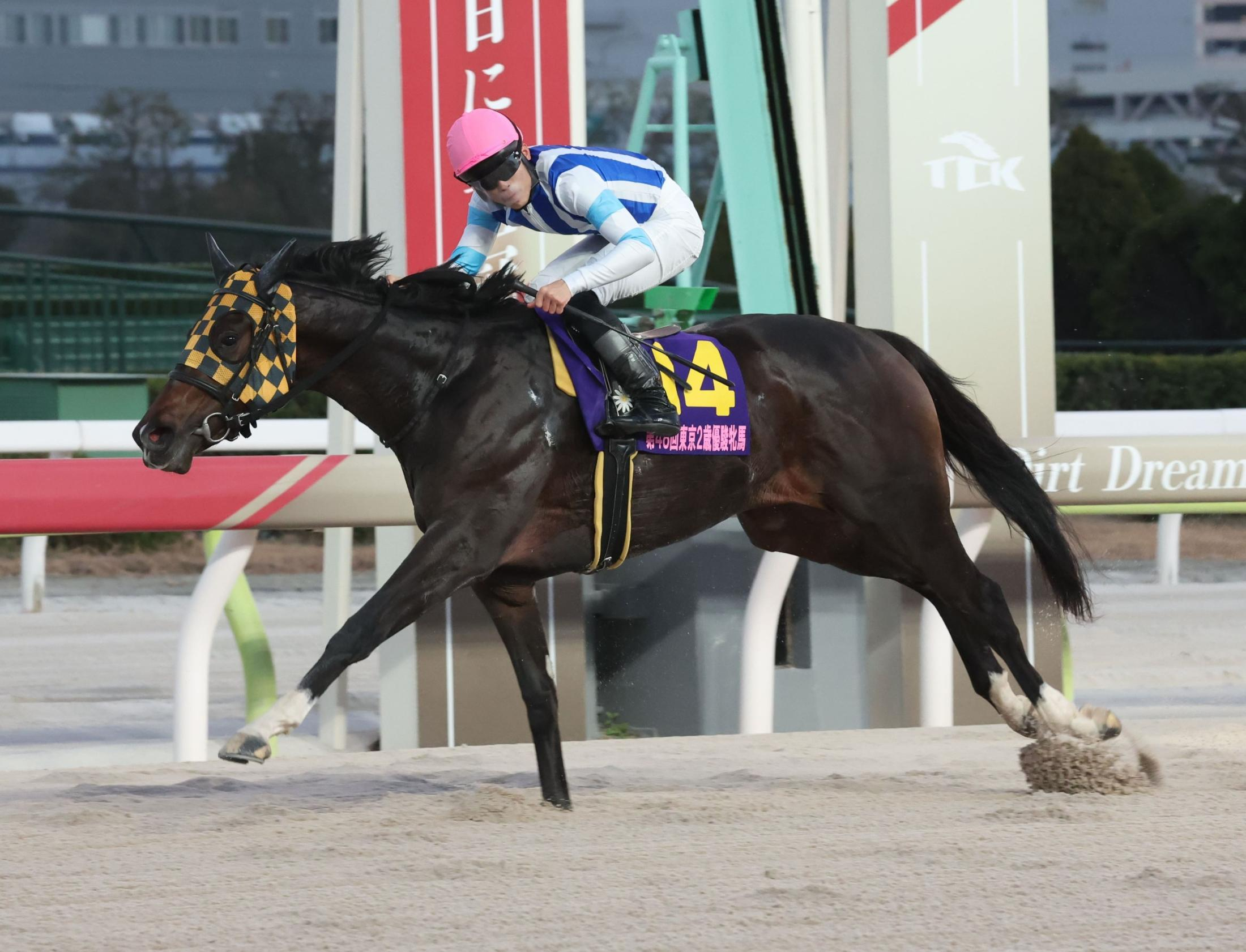 【地方競馬】プラウドフレールが大井・東京２歳優駿牝馬Ｖ　直線抜け出してゼロアワー撃破