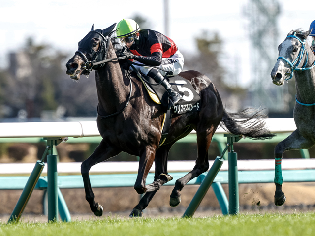 【中山金杯見どころ】中山全勝のクリスマスパレードが重賞2勝目を狙う