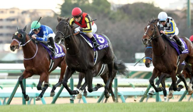 【2025年注目馬】牡馬クラシックの主役はクロワデュノール　どこまで伸ばす連勝記録