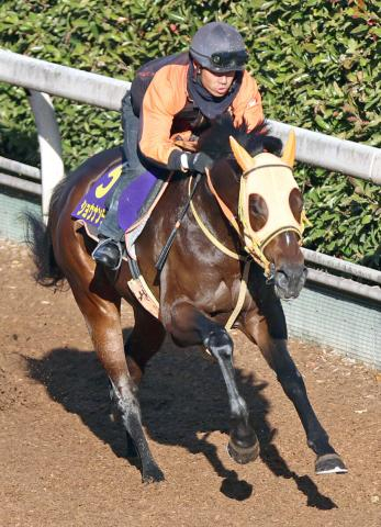 【2025年注目馬】確かな成長たどるショウナンラプンタ　鮫島克駿騎手と人馬ともにG1初制覇へ