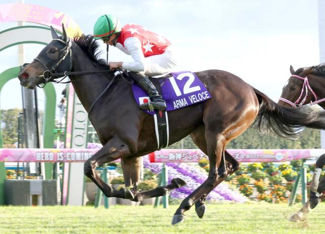 【注目馬動向】アルマヴェローチェは桜花賞直行　ベラジオオペラは連覇狙う大阪杯が目標