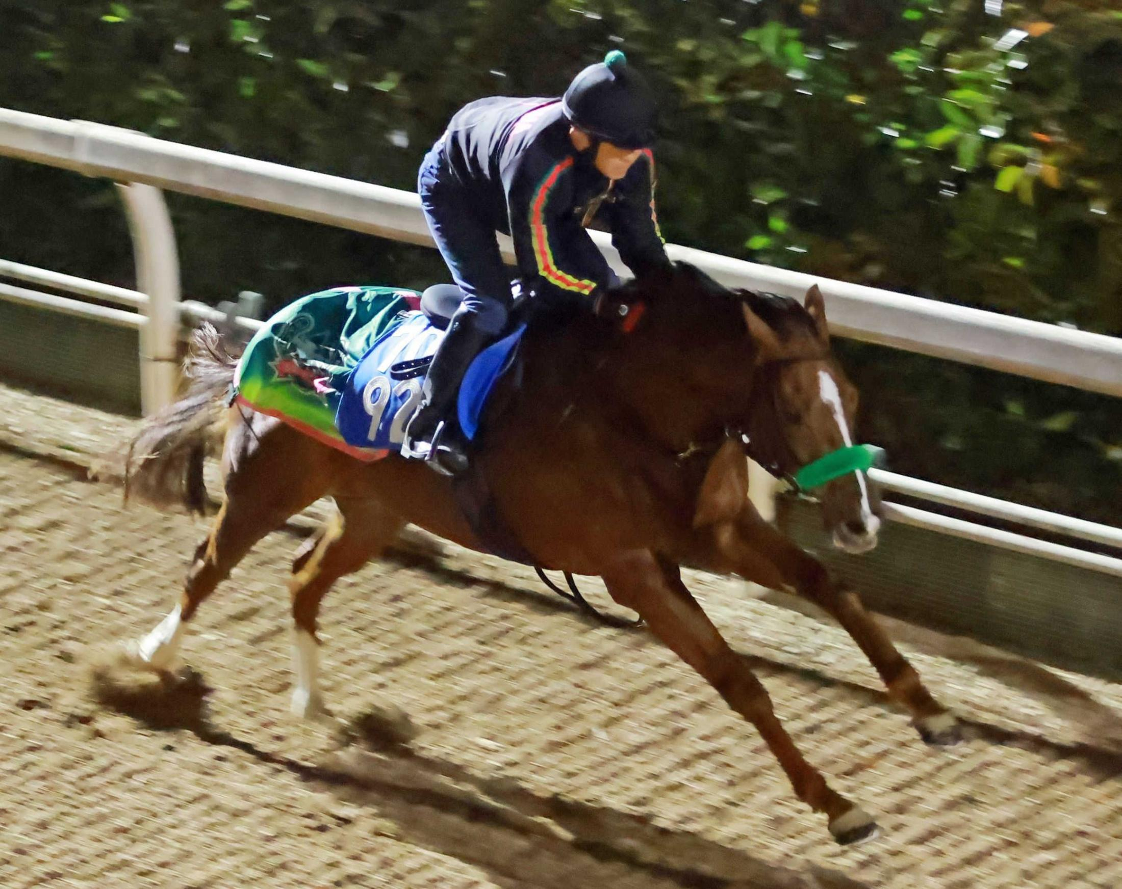 【京都金杯】シャドウフューリー　坂路で軽快走披露　重賞初挑戦へ準備は万全　自信得たマイルで飛躍を誓う