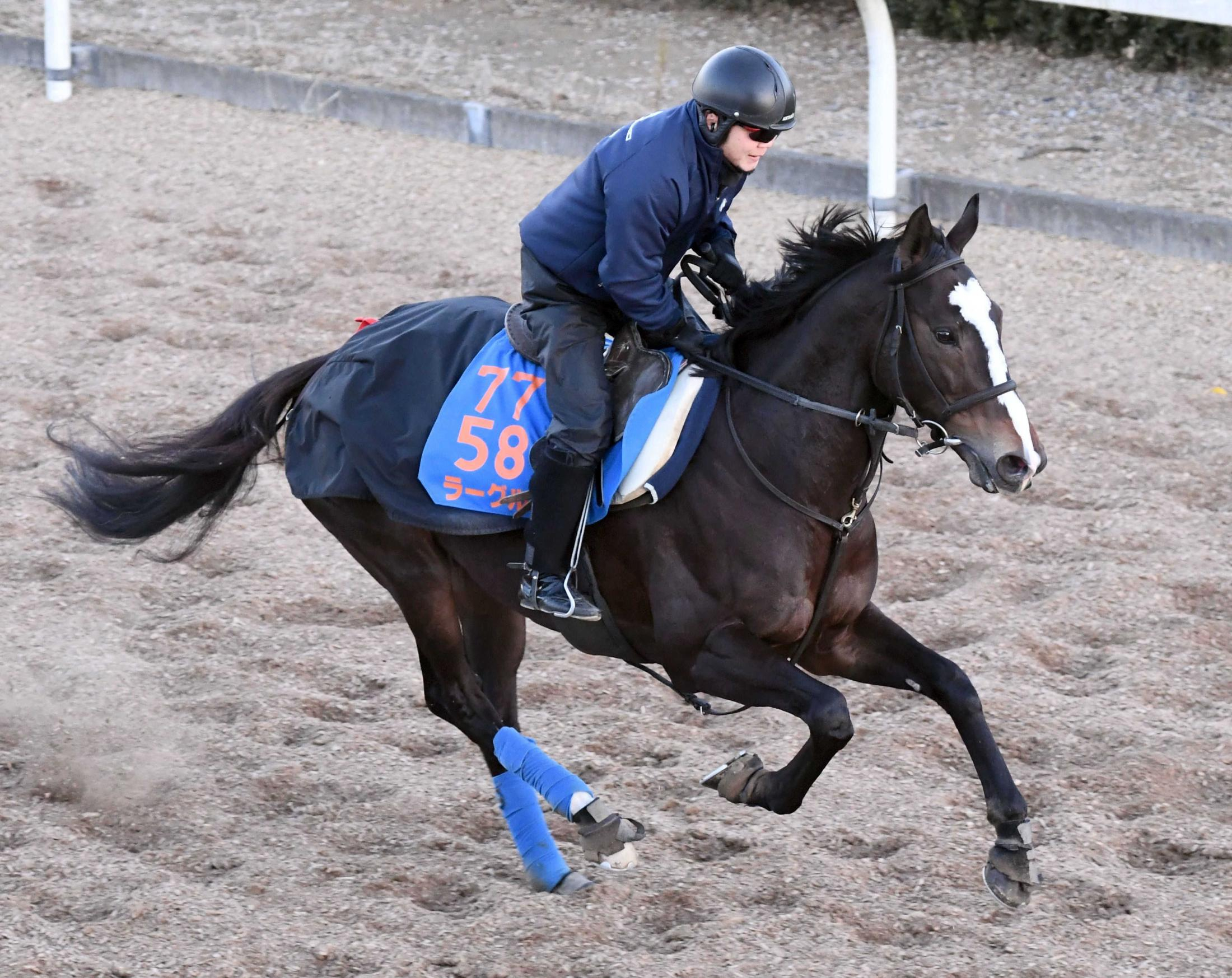 【中山金杯】ラーグルフ　今年引退の宗像師へ重賞制覇で花添える　年男・菅原明と再コンビで初笑いなるか