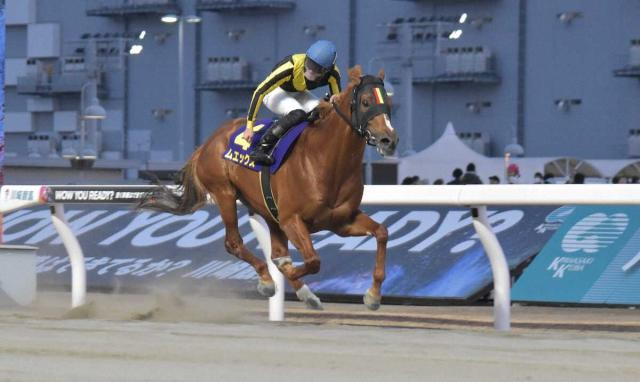 【川崎競馬　川崎マイラーズ】ムエックスが重賞初制覇　張田は年またぎ重賞“連覇”