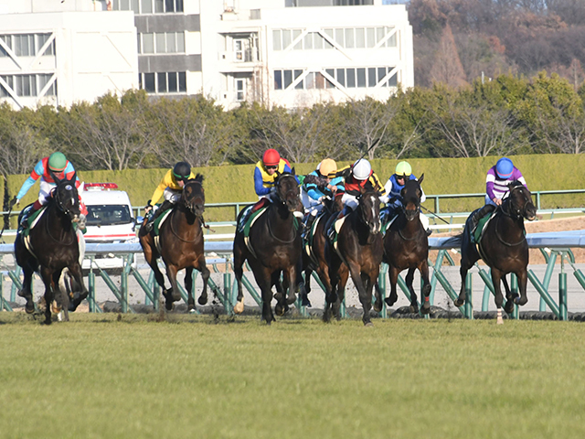 今年の京都金杯は中京芝1600m その傾向を探ってみた