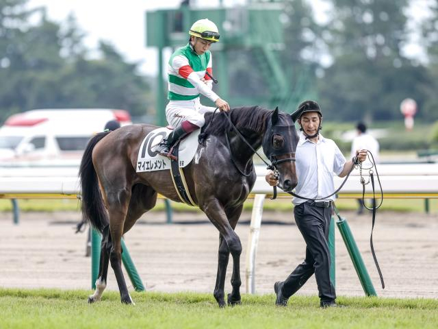 【シンザン記念想定馬・騎手】マイエレメント、アーリントンロウなど20頭