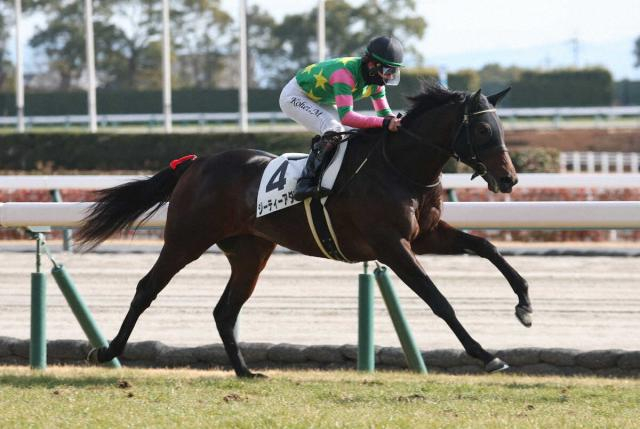 【中京5R新馬】ジーティーアダマンが逃げ切り　松山「力強い競馬だった」