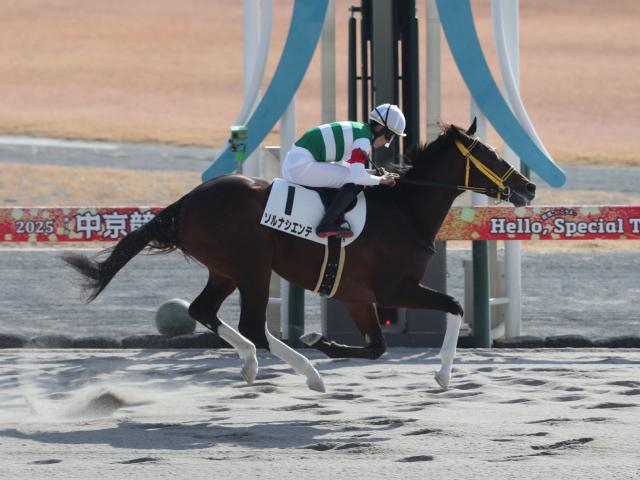 【メイクデビュー中京4Rレース後コメント】ソルナシエンテ高杉吏麒騎手ら