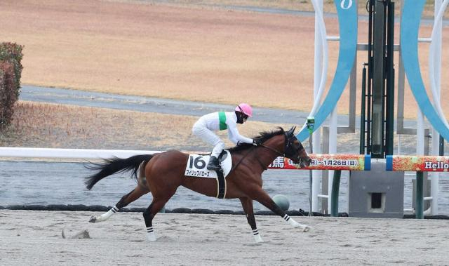 【中京3R新馬】フィリップバローズが逃げ切り　松山「芝でも走れそう」