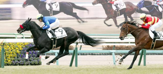 【中山5R・3歳新馬】新年好調な大野拓弥騎手は早くも4勝目　ストレイトトーカーで危なげなく初陣V